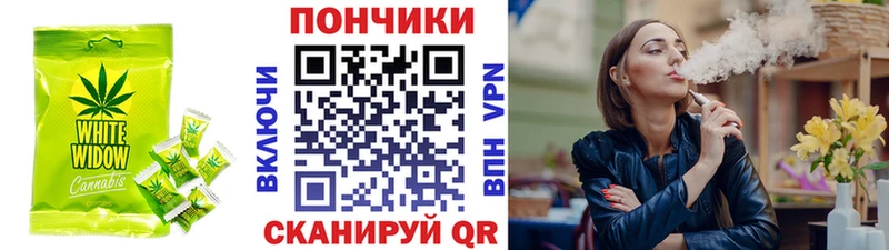Canna-Cookies марихуана  kraken как войти  Суздаль 