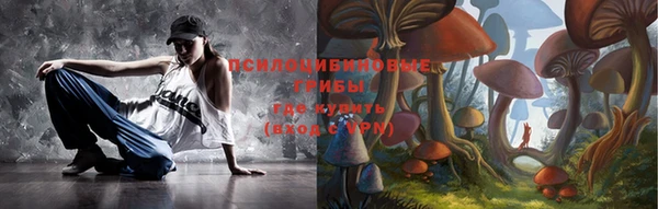 MESCALINE Аркадак