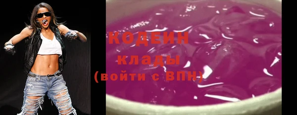 эйфоретик Арсеньев