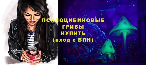 эйфоретик Арсеньев