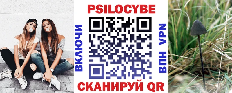 это официальный сайт  где можно купить   Суздаль  Псилоцибиновые грибы Cubensis 